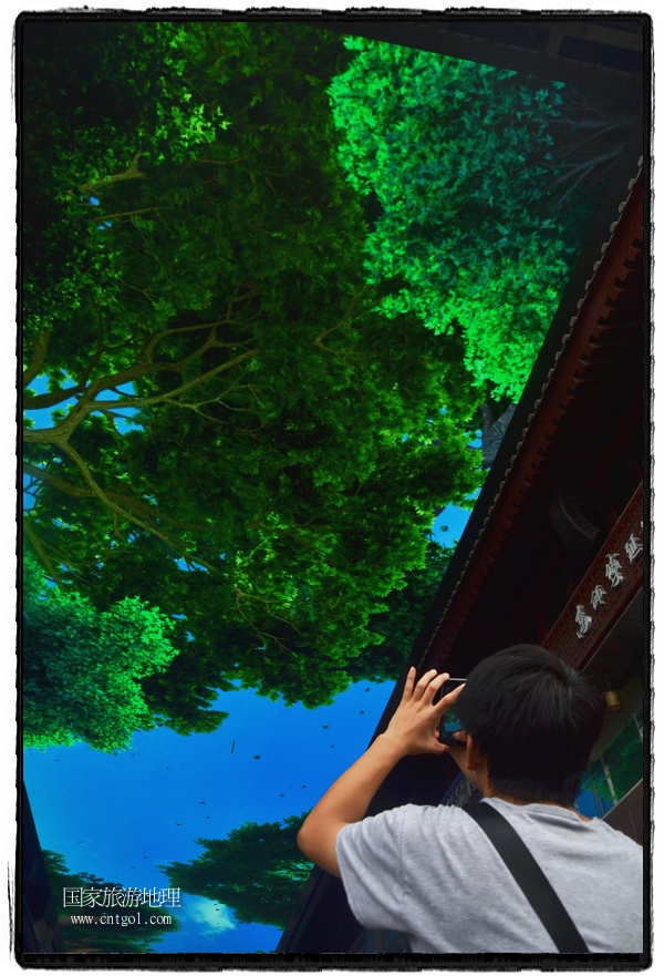 9月8日，在西安市大雁塔景區(qū)，“天幕”景觀吸引游客駐足觀看，并拿出手機(jī)拍攝。